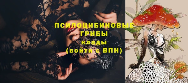 ECSTASY Михайловск