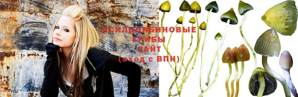 первитин Михайлов