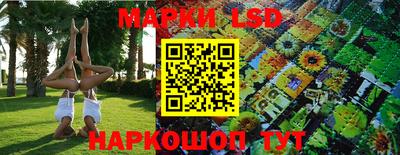 мяу мяу мука Аргун