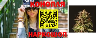 мяу мяу мука Аргун