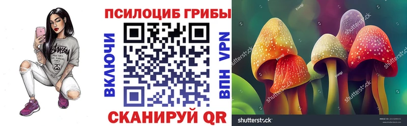купить наркотики сайты  Белорецк  Псилоцибиновые грибы мицелий 