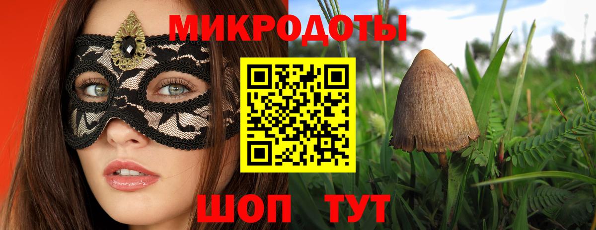 Псилоцибиновые грибы Cubensis  Вход с VPN  Белорецк 